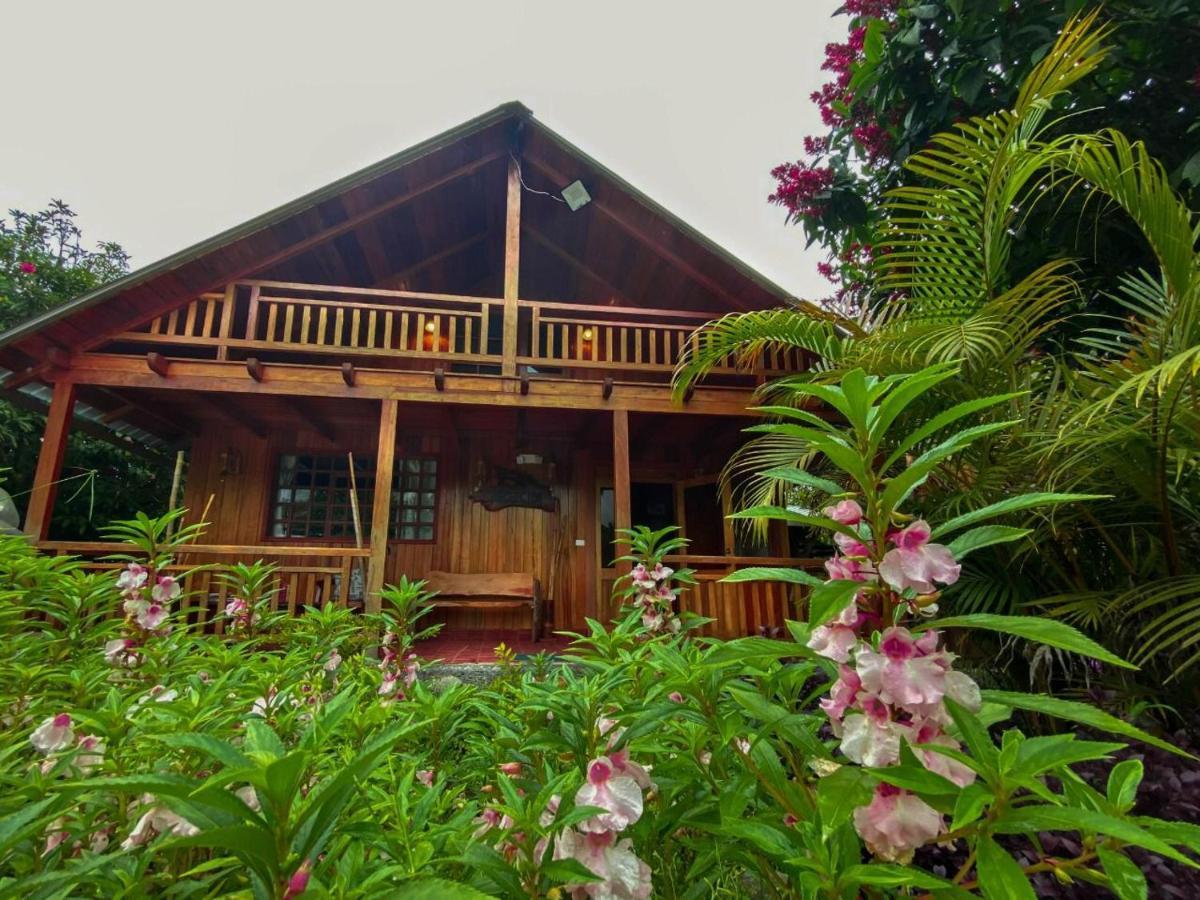 Hosteria Los Cedros De Миндо Екстериор снимка