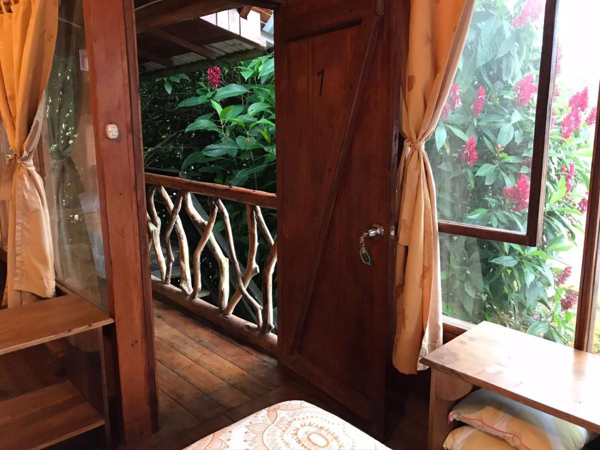 Hosteria Los Cedros De Миндо Екстериор снимка