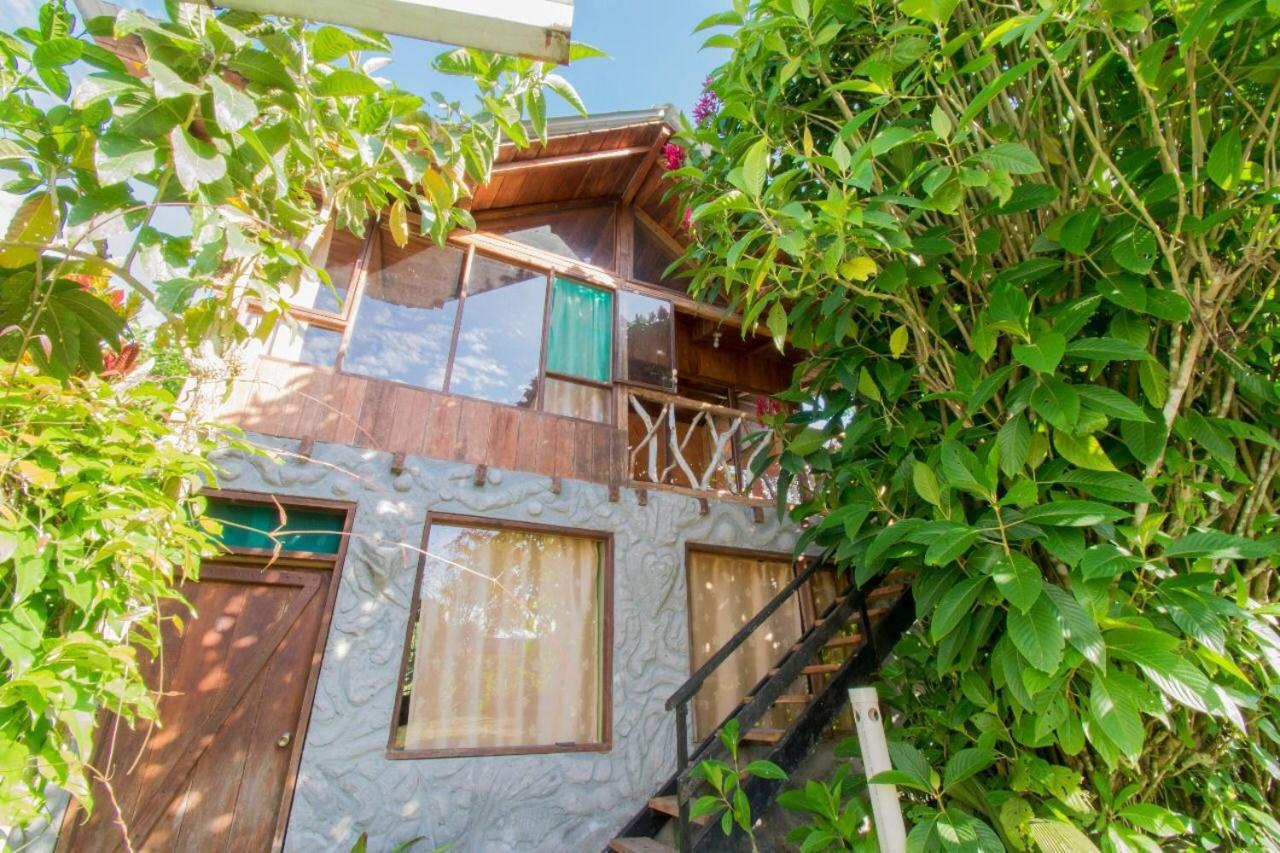 Hosteria Los Cedros De Миндо Екстериор снимка