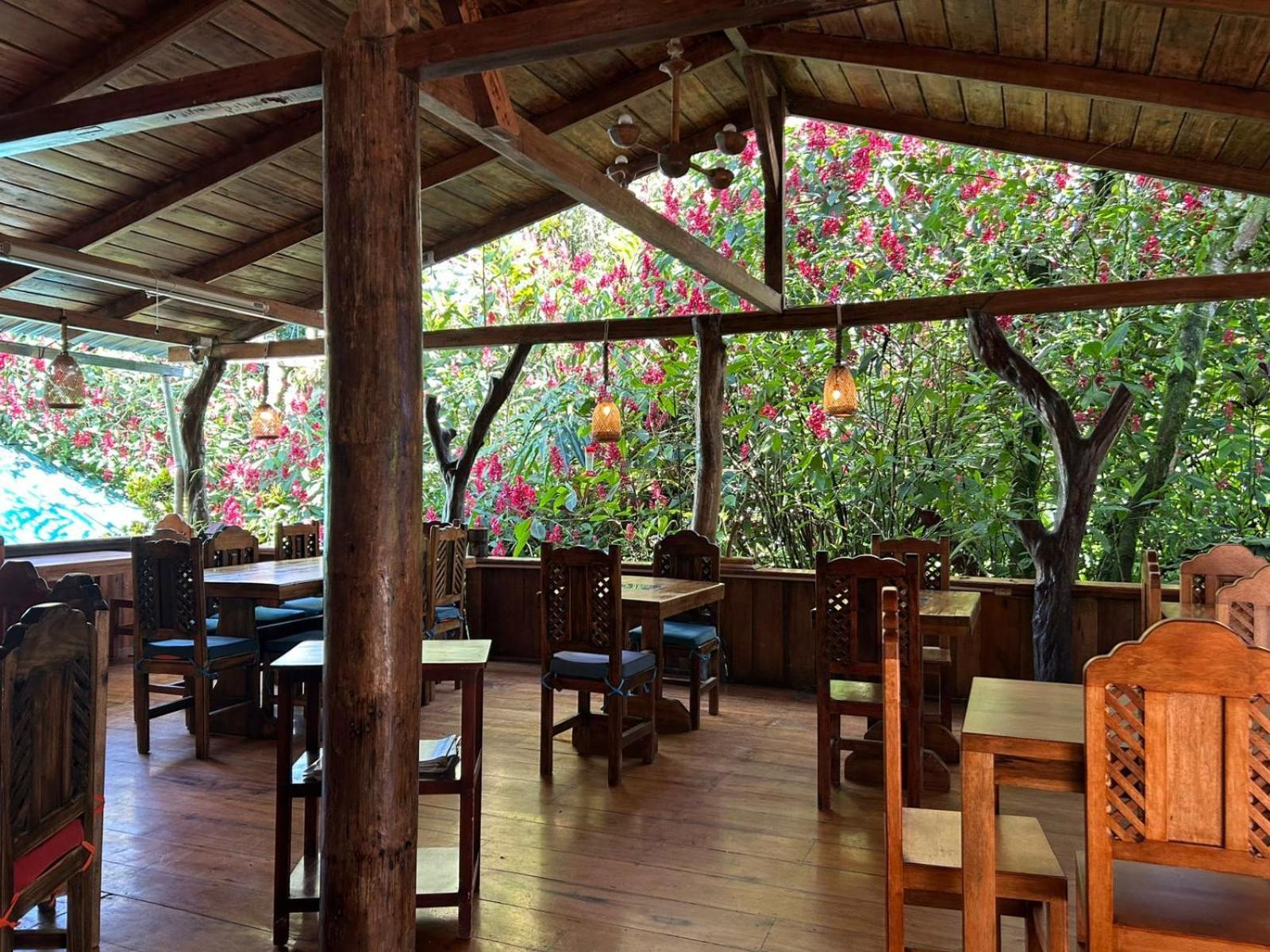 Hosteria Los Cedros De Миндо Екстериор снимка